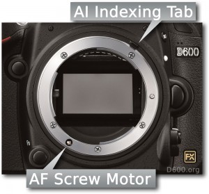 Nikon D600 AF Motor and AI-indexing Tab