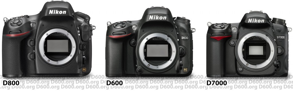 Nikon D600 vs D800 vs D7000 size comparison