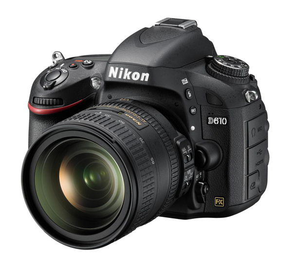 Nikon D610 photo 24-85mm VR front of camera